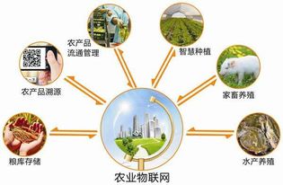 2017安徽農(nóng)業(yè)物聯(lián)網(wǎng)展會(huì) 推動(dòng)物聯(lián)網(wǎng)技術(shù)研發(fā)與農(nóng)業(yè)現(xiàn)代化